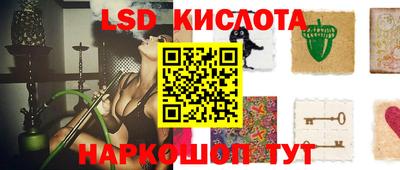 spice Кунгур